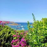 Punta Est - Quadri Antares Giardino & Piscina 卡珀科达卡瓦洛