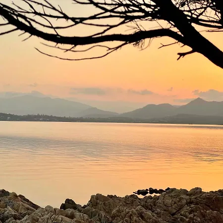 アパート San Teodoro Punta Est Spettacolare Quadrilocale Vista Mare カーポ・コーダ・カヴァッロ