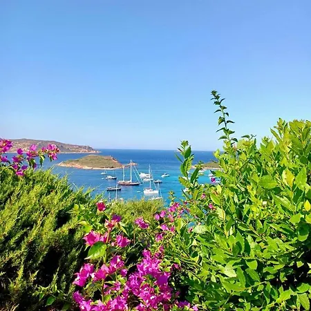 Punta Est - Quadri Antares Giardino & Piscina Capo Coda Cavallo