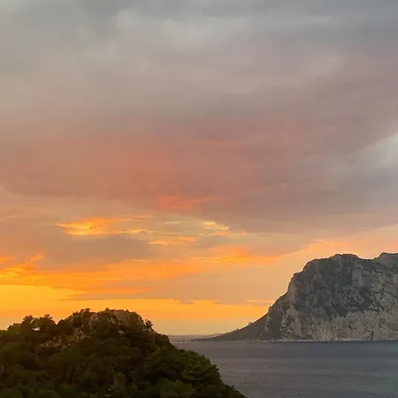 San Teodoro Punta Est Spettacolare Quadrilocale Vista Mare * Capo Coda Cavallo