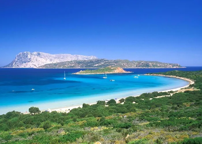 San Teodoro Punta Est Spettacolare Quadrilocale Vista Mare *
